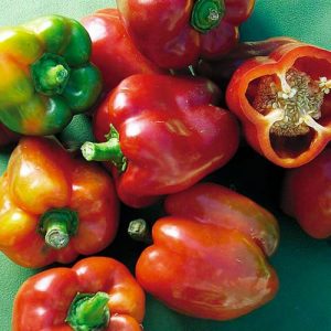Bull Nose Pepper