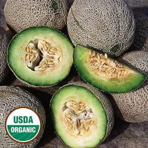 Melon Green Nutmeg