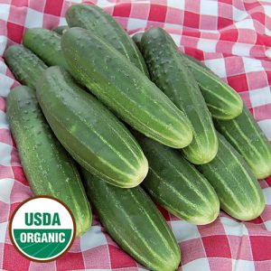 Cucumber, ABC Pickling