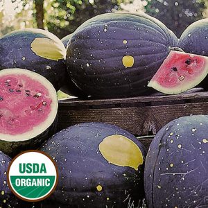 Watermelon Moon and Stars (Van Doren)